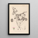 Herbier de la flore française Pl0074 - Louis Antoine Cusin — oprawiony obraz na ścianie