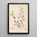 Herbier de la flore française Pl0083 - Louis Antoine Cusin — oprawiony obraz na ścianie