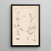 Herbarium francuskiej flory Pl0086 - Louis Antoine Cusin — oprawiony obraz na ścianie