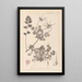 Herbier de la flore française Pl0089 - Louis Antoine Cusin — oprawiony obraz na ścianie