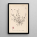 Herbier de la flore française Pl0091 - Louis Antoine Cusin — oprawiony obraz na ścianie