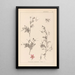 Herbier de la flore française Pl0093 - Louis Antoine Cusin — oprawiony obraz na ścianie