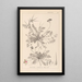 Herbier de la flore française Pl0094 - Louis Antoine Cusin — oprawiony obraz na ścianie