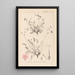 Herbier de la flore française Pl0097 - Louis Antoine Cusin — oprawiony obraz na ścianie