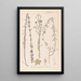 Herbarium francuskiej flory Pl0108 - Louis Antoine Cusin — oprawiony obraz na ścianie