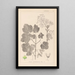 Herbier de la flore française Pl0120 - Louis Antoine Cusin — oprawiony obraz na ścianie