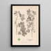 Herbier de la flore française Pl0122 - Louis Antoine Cusin — oprawiony obraz na ścianie