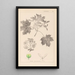 Herbier de la flore française Pl0123 - Louis Antoine Cusin — oprawiony obraz na ścianie