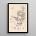 Herbier de la flore française Pl0126 - Louis Antoine Cusin — oprawiony obraz na ścianie