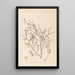 Herbier de la flore française Pl0138 - Louis Antoine Cusin — oprawiony obraz na ścianie