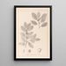 Herbier de la flore française Pl0144 - Louis Antoine Cusin — oprawiony obraz na ścianie