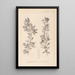 Herbier de la flore française Pl0155 - Louis Antoine Cusin — oprawiony obraz na ścianie