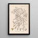 Herbier de la flore française Pl0160 - Louis Antoine Cusin — oprawiony obraz na ścianie