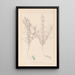 Herbier de la flore française Pl0208 - Louis Antoine Cusin — oprawiony obraz na ścianie