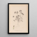 Herbier de la flore française Pl0240 - Louis Antoine Cusin — oprawiony obraz na ścianie
