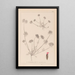 Herbier de la flore française Pl0241 - Louis Antoine Cusin — oprawiony obraz na ścianie