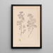 Herbier de la flore française Pl0245 - Louis Antoine Cusin — oprawiony obraz na ścianie