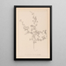 Herbier de la flore française Pl0250 - Louis Antoine Cusin — oprawiony obraz na ścianie