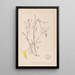 Herbier de la flore française Pl0305 - Louis Antoine Cusin — oprawiony obraz na ścianie