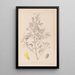 Herbier de la flore française Pl0307 - Louis Antoine Cusin — oprawiony obraz na ścianie