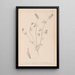 Herbier de la flore française Pl0317 - Louis Antoine Cusin — oprawiony obraz na ścianie