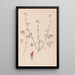Herbier de la flore française Pl0321 - Louis Antoine Cusin — oprawiony obraz na ścianie