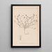 Herbarium francuskiej flory Pl0335 - Louis Antoine Cusin — oprawiony obraz na ścianie