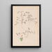 Herbier de la flore française Pl0349 - Louis Antoine Cusin — oprawiony obraz na ścianie