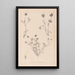 Herbier de la flore française Pl0357 - Louis Antoine Cusin — oprawiony obraz na ścianie