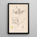 Herbier de la flore française Pl0378 - Louis Antoine Cusin — oprawiony obraz na ścianie