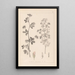 Herbier de la flore française Pl0381 - Louis Antoine Cusin — oprawiony obraz na ścianie