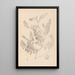 Herbarium francuskiej flory Pl0405 - Louis Antoine Cusin — oprawiony obraz na ścianie
