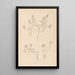 Herbier de la flore française Pl0409 - Louis Antoine Cusin — oprawiony obraz na ścianie