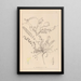 Herbier de la flore française Pl0418 - Louis Antoine Cusin — oprawiony obraz na ścianie