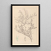 Herbier de la flore française Pl0421 - Louis Antoine Cusin — oprawiony obraz na ścianie