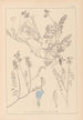 Herbier de la flore française Pl0431 - Louis Antoine Cusin — widok dzieła