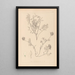 Herbier de la flore française Pl0432 - Louis Antoine Cusin — oprawiony obraz na ścianie