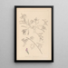 Herbier de la flore française Pl0435 - Louis Antoine Cusin — oprawiony obraz na ścianie