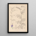 Herbier de la flore française Pl0446 - Louis Antoine Cusin — oprawiony obraz na ścianie