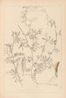 Herbier de la flore française Pl0455 - Louis Antoine Cusin — widok dzieła