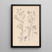 Herbier de la flore française Pl0464 - Louis Antoine Cusin — oprawiony obraz na ścianie