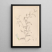 Herbier de la flore française Pl0479 - Louis Antoine Cusin — oprawiony obraz na ścianie