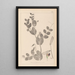 Herbier de la flore française Pl0491 - Louis Antoine Cusin — oprawiony obraz na ścianie