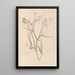 Herbier de la flore française Pl0508 - Louis Antoine Cusin — oprawiony obraz na ścianie