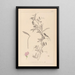 Herbarium francuskiej flory Pl0509 - Louis Antoine Cusin — oprawiony obraz na ścianie