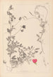 Herbier de la flore française Pl0510 - Louis Antoine Cusin — widok dzieła