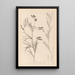 Herbier de la flore française Pl0516 - Louis Antoine Cusin — oprawiony obraz na ścianie