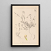 Herbier de la flore française Pl0541 - Louis Antoine Cusin — oprawiony obraz na ścianie