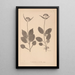 Herbier de la flore française Pl0688 - Louis Antoine Cusin — oprawiony obraz na ścianie