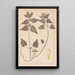 Herbier de la flore française Pl0830 - Louis Antoine Cusin — oprawiony obraz na ścianie
